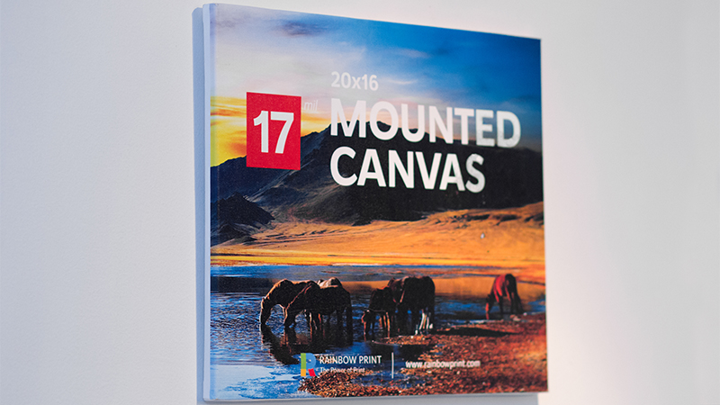 Mounted Canvases